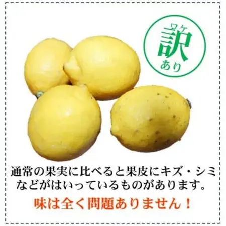 【ノーワックス】 訳あり 国産 紀州 レモン 約5kg (サイズおまかせ)【配送不可地域：離島】【1484258】