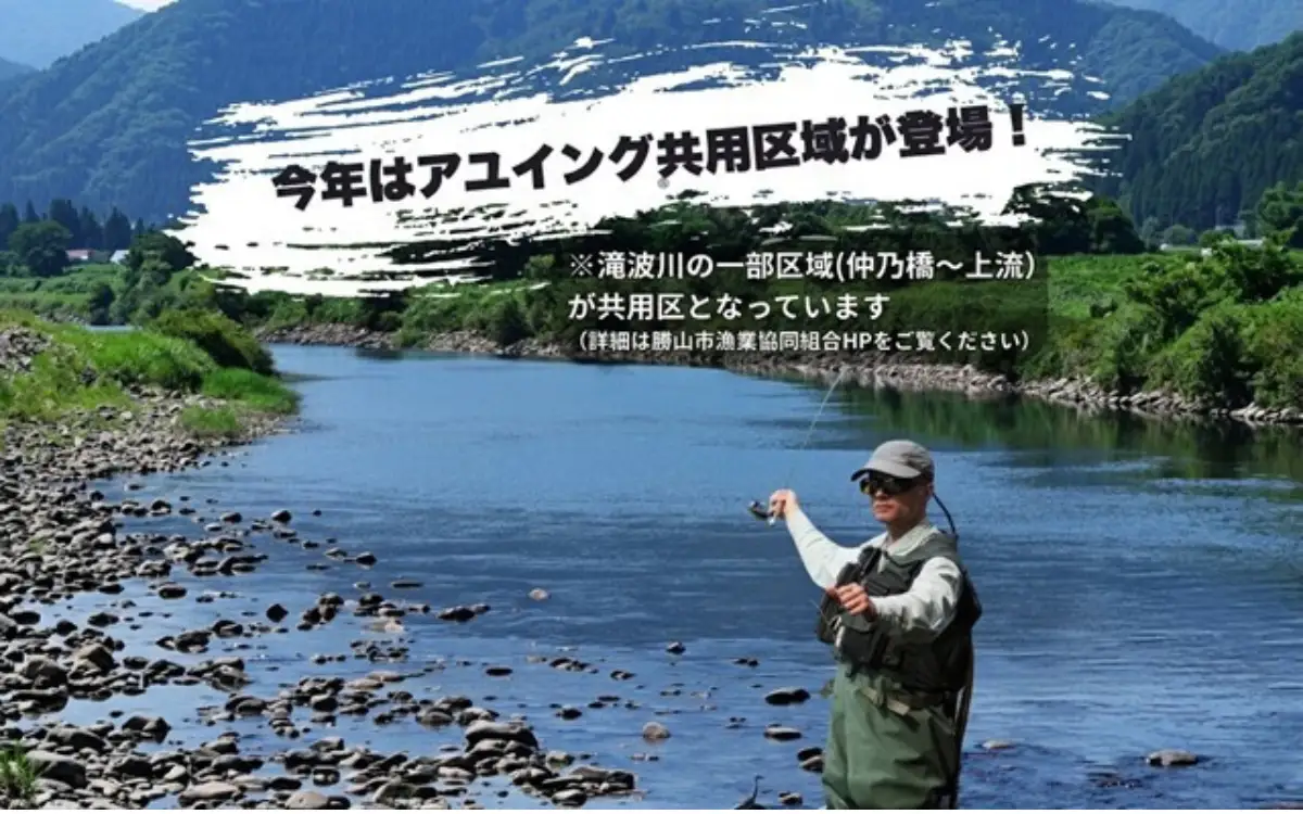 【ふるさと納税】【2026年分】九頭竜川（勝山市漁協）鮎友釣り年券 1名様分　魚 魚介 鮎 アユ 釣り 体験 チケット※2026年6月27日解禁日！ [D-001004]