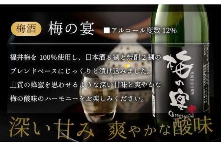 日本酒ベースのおいしい梅酒　梅の宴(720ml×2本) [A-008062]