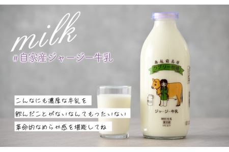 ジャージー牛乳の濃厚な味わい！ラブリー牧場チーズケーキ「みるくの月」１個 [A-014003]