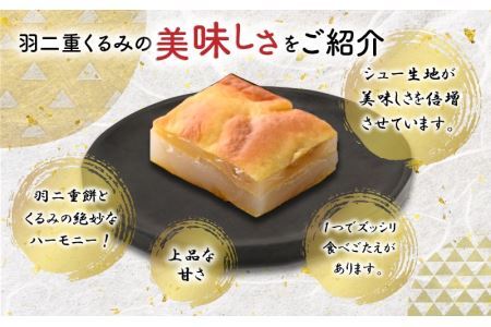 【ランキング最高1位！人気の返礼品です！】羽二重くるみ 10個入り  [A-032007]