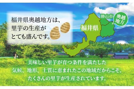 奥越産 皮むき里芋 1.2kg×2P（マル秘レシピ付き） [A-037009]