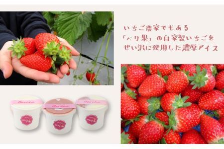 自家製カップアイス3種セット（いちご 4個 & みっくす 4個 & みるく 4個） [A-045003]