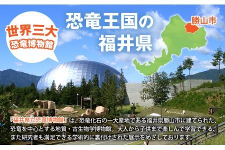 福井県立恐竜博物館 常設展観覧券 (一般 1名様と小・中学生 3名様) [A-048011]