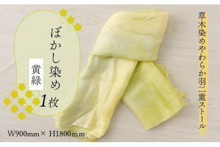 草木染めやわらか羽二重ストール 黄緑 ぼかし染め [B-053001]