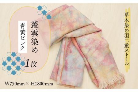 草木染め羽二重ストール 青黄ピンク 叢雲染め [C-053006]