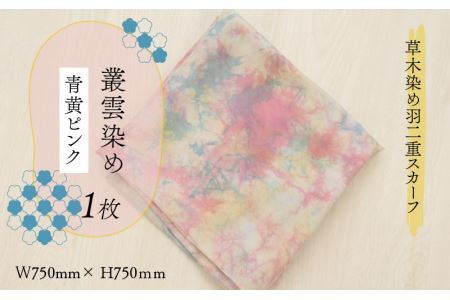 草木染め羽二重スカーフ 青黄ピンク 叢雲染め [A-053006]