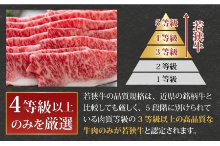 【福井のブランド牛肉】若狭牛 ロース・肩ロース肉 すき焼き用 500g（250g×2パック） [C-058003]