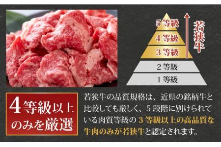 【福井のブランド牛肉】若狭牛 切り落とし 225g×2パック 計450g【 モモ・肩・バラ】 [A-058001]