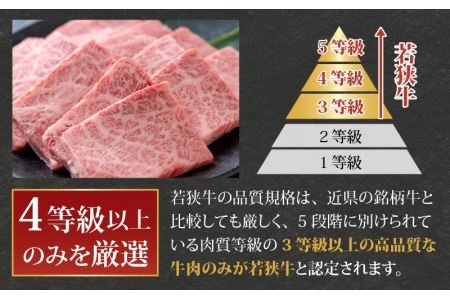 【福井のブランド牛肉】若狭牛 上カルビ 焼肉用 350g×1パック [B-058001]