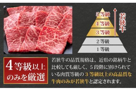 【福井のブランド牛肉】若狭牛 モモ肉 焼肉用 270g×2パック 計540g [B-058002]