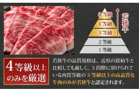 【福井のブランド牛肉】若狭牛 ロース・肩ロース肉 しゃぶしゃぶ用 500g（250g×2パック） [C-058004]