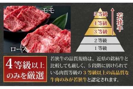 【福井のブランド牛肉】若狭牛 すき焼き食べ比べセット 1kg（ロース500g×1パック、モモ500g×1パック） [E-058001]