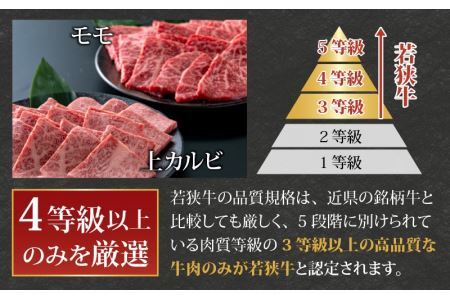 【福井のブランド牛肉】若狭牛 焼肉食べ比べセット 1kg（上カルビ500g×1パック、モモ500g×1パック） [E-058002]