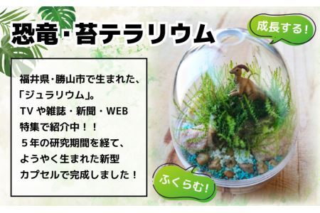 恐竜＋苔＋天然石が作り出す、癒やしの自然空間！ ジュラリウム Sサイズ [A-070001]