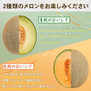 ＜2026年先行予約＞ タカミメロン 青肉&赤肉 計2玉 メロン メロン メロン メロン メロン メロン