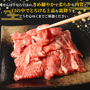 【せんば牛】千葉産 切り落とし 1.0kg 牛肉 精肉 肉 切落し ブランド牛 国産 11000円