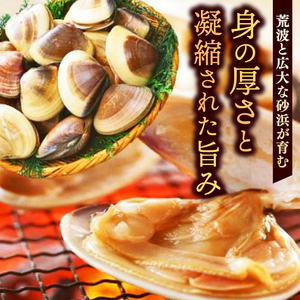 いばらき満喫Aセット 「鹿島灘 はまぐり」＋「【茨城県共通返礼品・茨城県産】常陸牛 サーロイン」【蛤 ハマグリ 牛肉 ステーキ セット バーベキュー BBQ 贈答用 ギフト 鹿嶋市 茨城】(KBL-1)