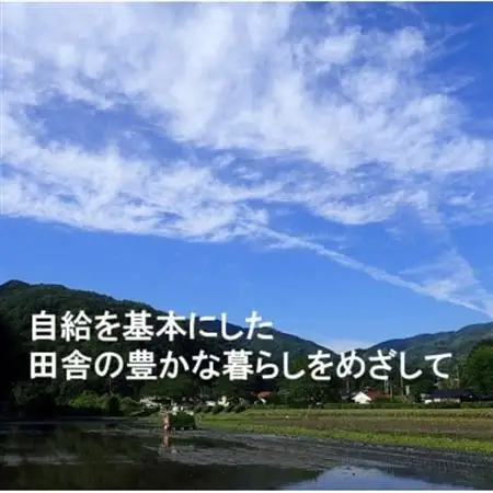 【栽培期間中化学肥料・化学農薬不使用】令和7年産R1米コシヒカリ10kg(玄米)【1448684】