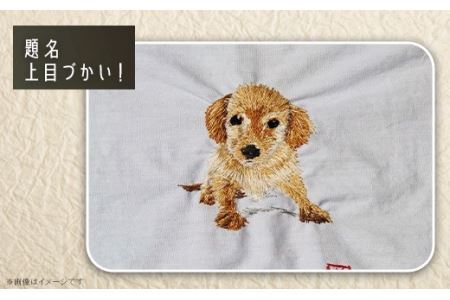 2603-02 刺繍「わんちゃん（題名：上目づかい！）」