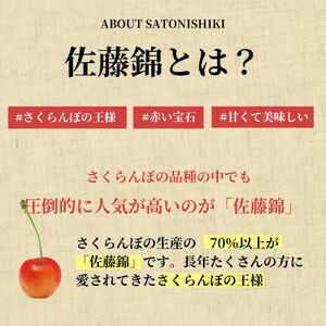 ＜先行予約＞さくらんぼ 佐藤錦 秀品 L 1kg 【2026年6月下旬頃発送】 山形県 朝日町産 農産物 フルーツ 山形産 バラ詰め サクランボ 高級 果物 初夏