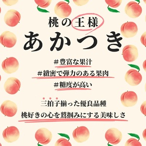 ＜先行予約＞白桃 あかつき 3kg 9～12個 秀品 【2026年8月中旬発送】山形県 朝日町産 農家直送 山形産 もも モモ 桃 ピーチ 果物 フルーツ 夏