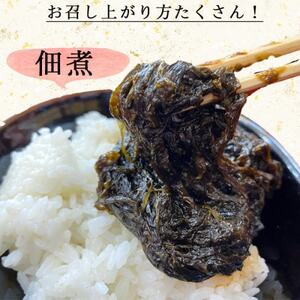 生海苔 500g×4袋 計2kg 冷凍 岬だより のり