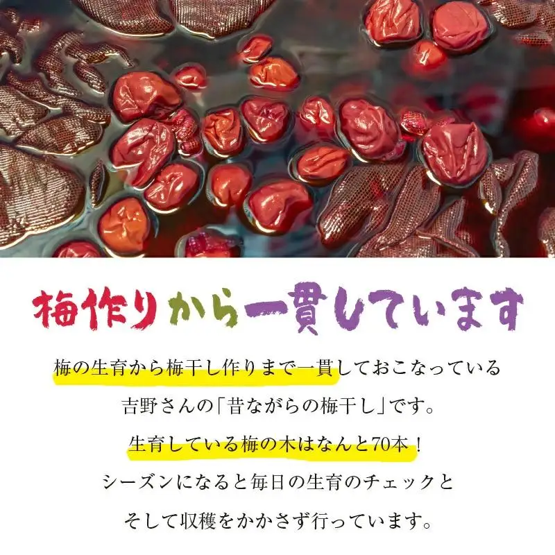 『南高梅』昔ながらの酸っぱい梅干し 180g×5パック 合計900g 小分け＜18-1a＞