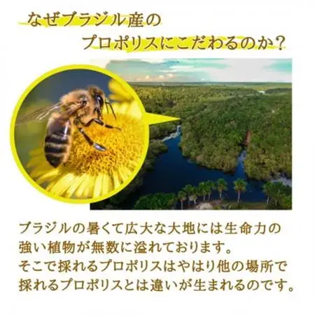 プロポリスエキス　12cc_惣菜・加工品   _【1483808】