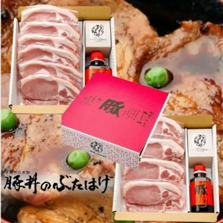 豚丼のぶたはげ「極撰豚丼セット10人前」_肉  豚肉   調味料 こしょう  コショウ 胡椒  調味料   _【配送不可地域：離島】【1482250】