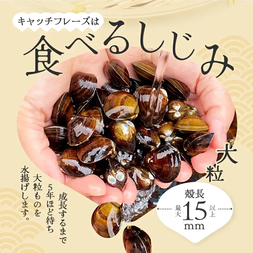 砂抜き済みで手間いらず！冷凍・小川原湖産大和しじみ2kg（500g×4袋）　【02408-0084】