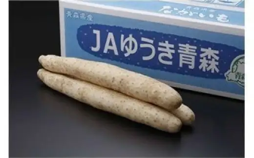 青森県特産ながいも　A2L（12本入）約10kg　【02408-0038】