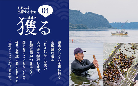 砂抜き済みで手間いらず！冷凍・小川原湖産大和しじみ BIG 3kg（250g×12袋）【02408-0075】