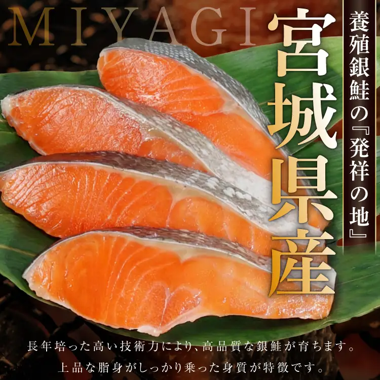 定期便 《6ヶ月連続お届け》 訳あり 宮城県産 熟成 銀鮭 切身 約2kg×6回 計12kg [宮城東洋 宮城県 気仙沼市 20564499]