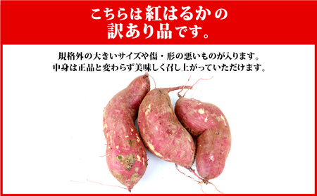 訳あり さつまいも 紅はるか 10kg 大森城山麓園 先行予約 愛媛県産 訳アリ 訳あり品 訳有り わけあり さつま芋 サツマイモ 野菜 やさい 栽培期間中 農薬 不使用 根菜 イモ 芋 産地直送 農家直送 数量限定 国産 愛媛 宇和島 F010-181002