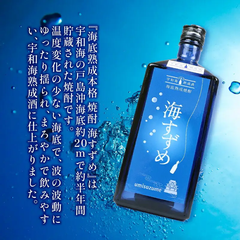 焼酎 海底熟成焼酎 海すずめ 720ml 1本 名門サカイ I015-085006