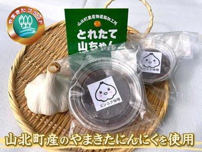 とれたて山ちゃん味噌と加工品【 味噌 柚子味噌 唐辛子味噌 にんにく味噌 柚子胡椒 こんにゃく 自家栽培 自家製造 詰め合わせ 神奈川県 山北町 】