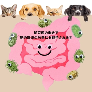 O23　腸活素材　犬・猫の無添加おやつ　フリーズドライ挽割納豆　【 いぬ イヌ 犬 ねこ ネコ 猫 おやつ 腸活 安全 安心 健康 無添加 フリーズドライ グルテンフリー たんぱく質 大豆 】