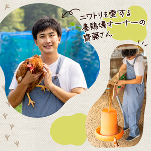 【定期便3回】こだわり たまご 30個 (10個×3パック) 新鮮 平飼い 卵 ﾀﾏｺﾞ