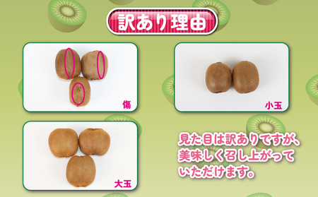 訳あり キウイ フルーツ 5kg 吉田農園 グリーンキウイ ヘイワード キウイフルーツ デザート スイーツ 愛媛県産 訳アリ 訳あり品 訳有り わけあり 果物 くだもの 農家直送 産地直送 数量限定 国産 愛媛 宇和島 F012-160003