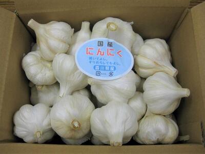 小豆島 乾燥にんにく 2.5kg