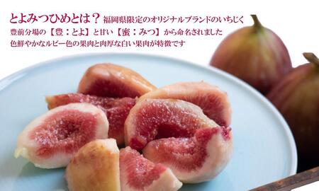 【福岡限定ブランド】いちじく とよみつひめ 約1.2kg （ 300g×4パック）| いちじく 福岡県産 果物 フルーツ とよみつひめ 福岡県 大川市