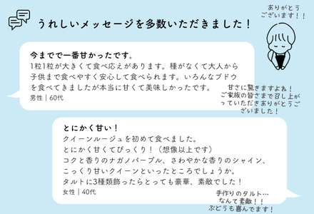 TK08 ぶどう クイーンルージュ®  約2kg／2026年9月下旬から10月中 配送予定 // 稀少 新品種 長野県 南信州 高糖度 葡萄 クインルージュ 甘い 種なし 皮ごと