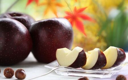 JA12　りんご 秋映 約5kg ／2026年10月上旬ごろ配送予定 // 長野県 オリジナル品種 南信州産 贈答 南信州ブランド りんご三兄弟 人気 甘い 濃厚