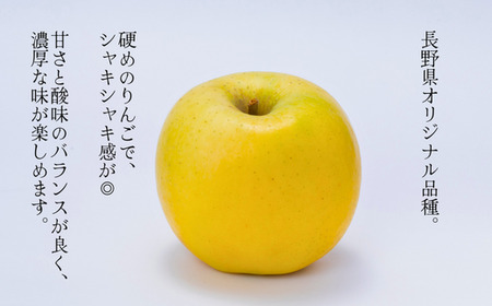 JA14　りんご シナノゴールド 約5kg ／ 2026年10月下旬～11月上旬ごろ配送予定 // 長野県 糖度センサー選別 オリジナル品種 南信州産 贈答 ギフト 濃厚 甘い 酸味 かため 硬め シャキシャキ 新鮮