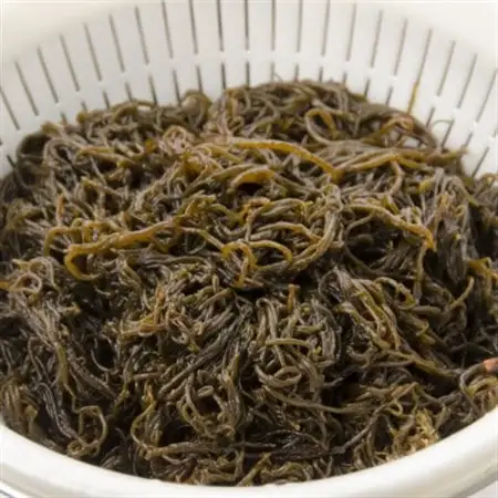 古宇利島産の養殖もずく2.5kg【配送不可地域：離島】【1483942】