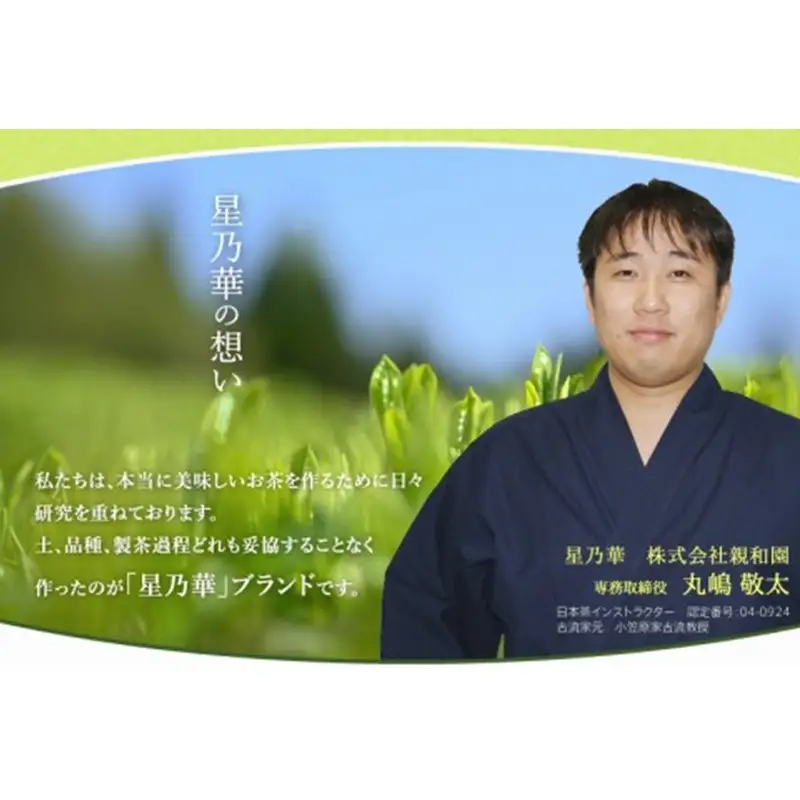 八女星野深蒸し茶100g 3本詰め【A5-253】
