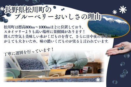 KB01 ブルーベリー 約1.2kg ／2026年6月下旬頃から発送予定//南信州 国産 長野県産 ブルーベリー 大粒 甘い 人気 新鮮 厳選 贈答