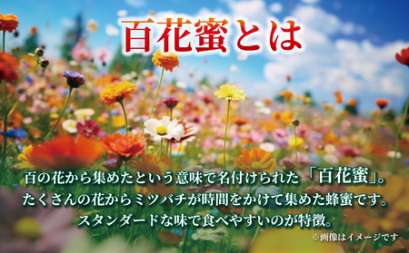 百花蜜 500g ギフト箱入 元気や 非加熱 はちみつ 国産はちみつ 百花蜂蜜 純粋はちみつ 生はちみつ 生蜂蜜 蜂蜜 ハニー ギフト プレゼント 贈答用 数量限定 産地直送 国産 愛媛 宇和島 F014-176004
