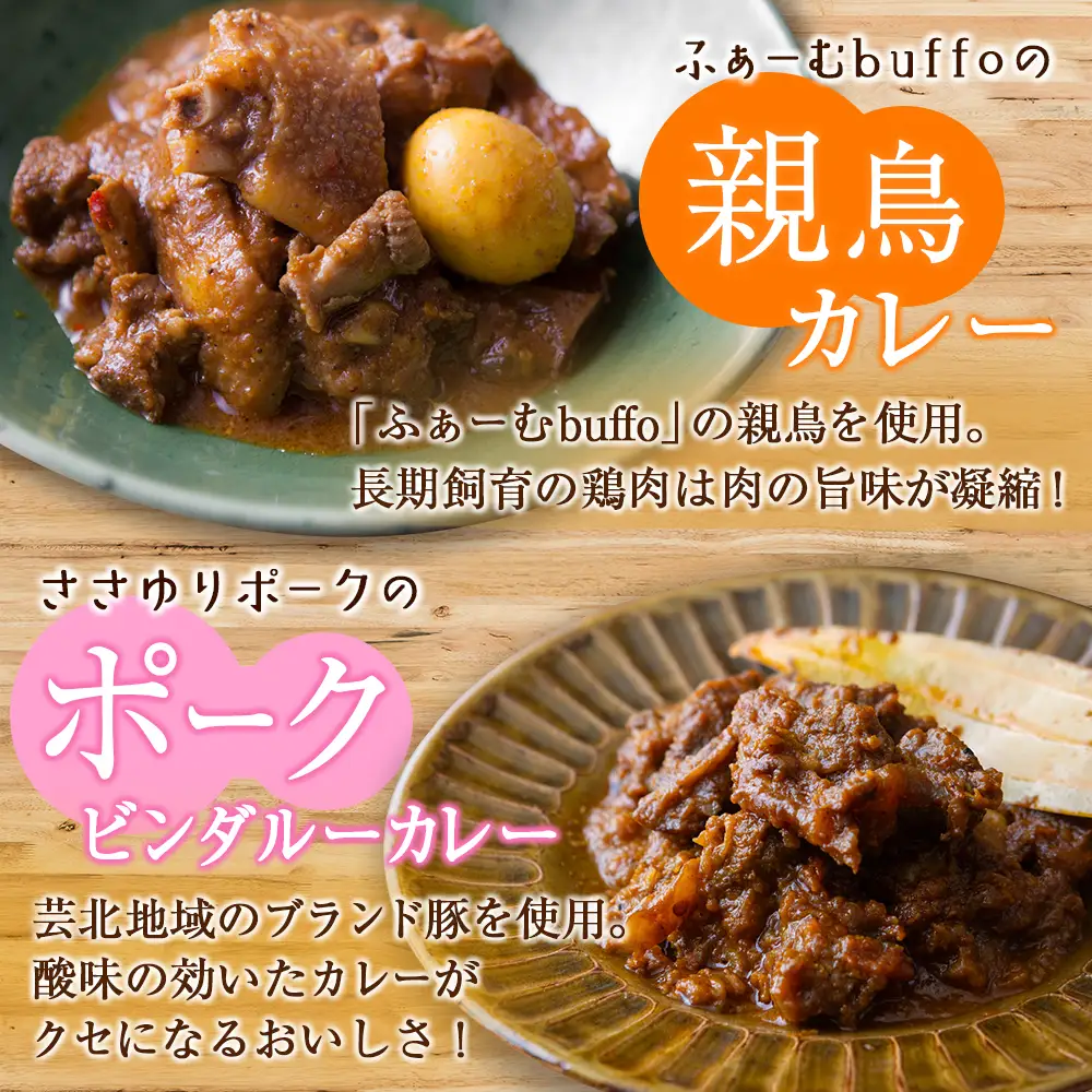 レトルト カレー 北広島町産素材のスパイスカレー（3種詰め合わせ）_SA075_001